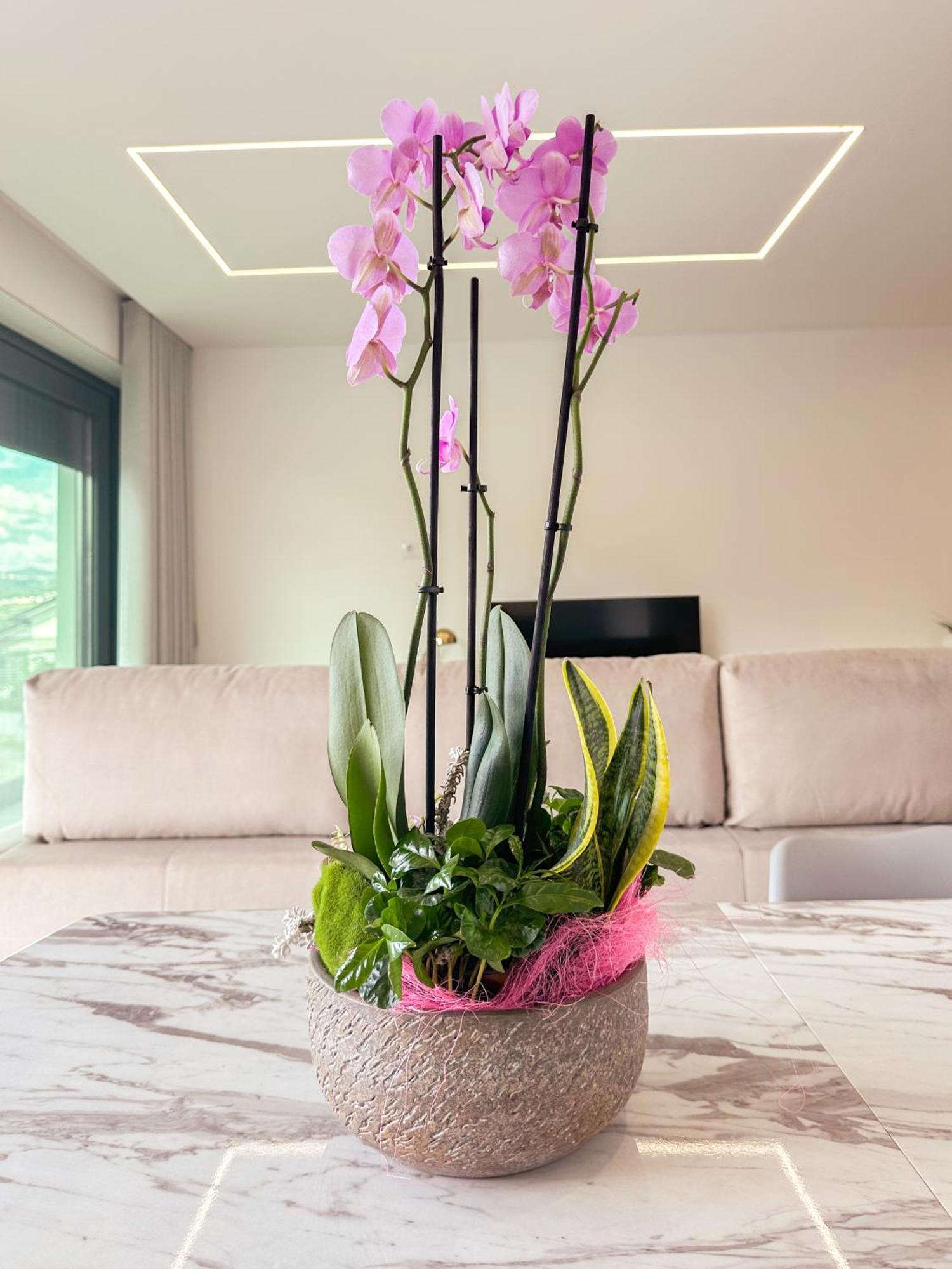 Flora Guest House Marco de Canavezes Eksteriør bilde